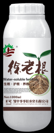 徐老根